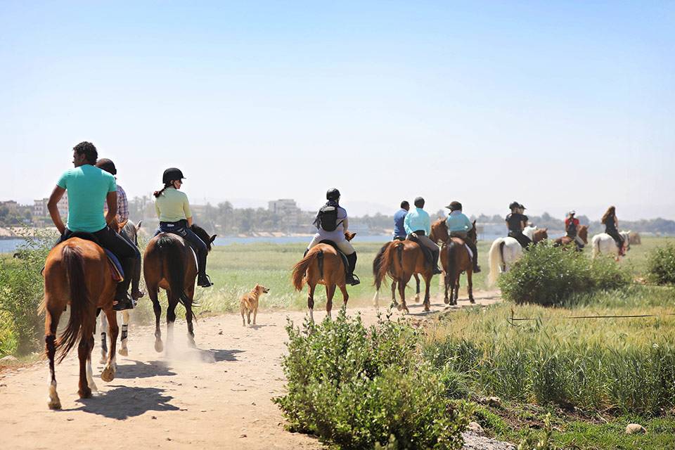 Ride Egypt