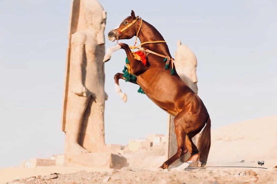 Luxor