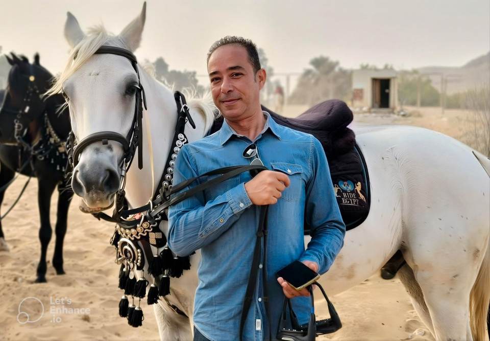 Hady - Cairo Operations