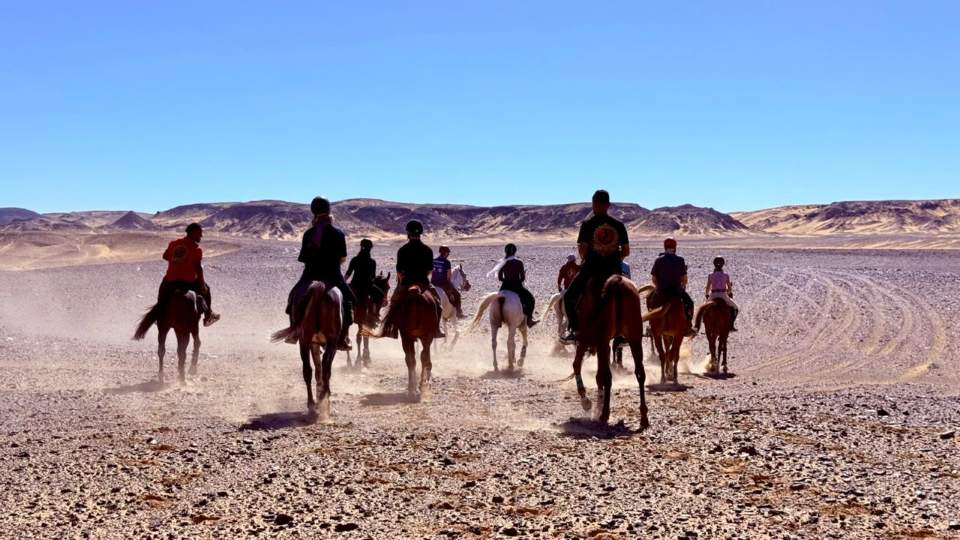 Ride Egypt